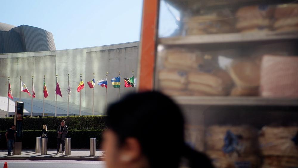 United Nations Foundation